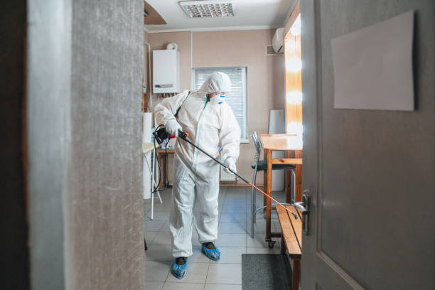 Best Indoor Air Quality Assessment  in North Pole, AK