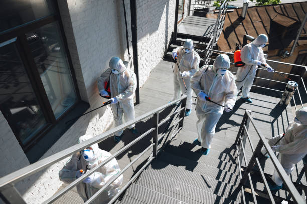 Best Industrial Mold Remediation  in North Pole, AK