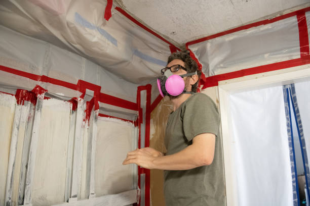 Best Water Damage & Mold Remediation  in North Pole, AK
