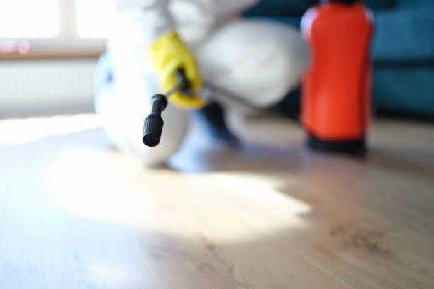 Best Comprehensive Air Testing for Mold Contaminants  in North Pole, AK