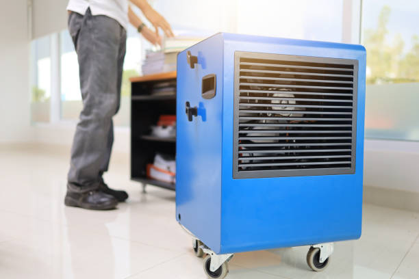 Best Mold Damage Restoration  in North Pole, AK