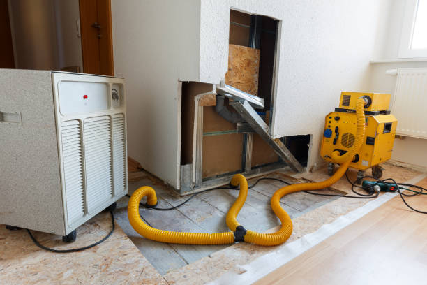 Best Residential Mold Inspection & Testing  in North Pole, AK