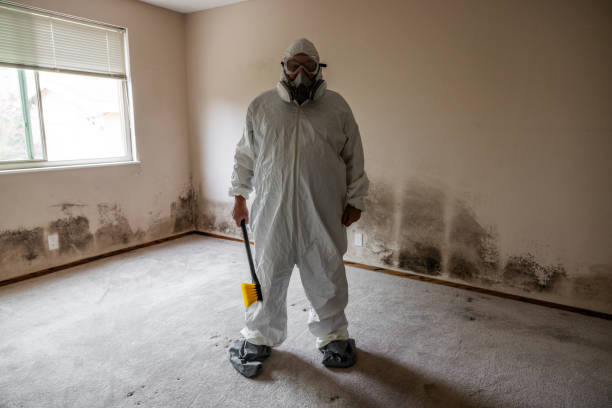 Best Emergency Mold Remediation  in North Pole, AK